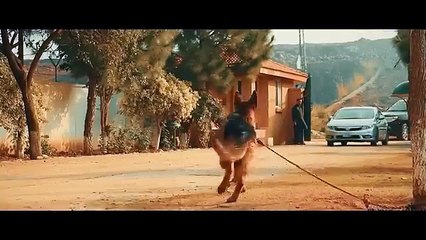 VER SIN PIEDAD ESTRENO 2024 PELICULA ACCION EN ESPAÑOL