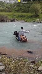 ACROSS THE RIVER,,,, It is a big river, A man want to across the river on the back of our horse