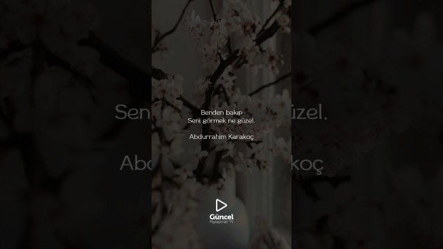 Benden bakıp seni görmek ne güzel | #Shorts #Enstrümantal #FonMüzikleri #Şiir #Müzik