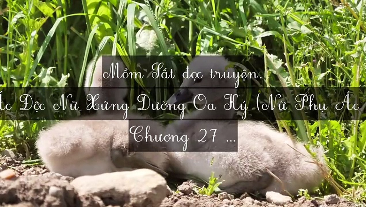 C26-C35 Ác Độc Nữ Xứng Dưỡng Oa Ký (Nữ Phụ Ác Độc Chăm Sóc Con)