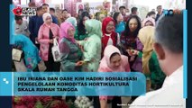 IBU IRIANA DAN OASE KIM HADIRI SOSIALISASI PENGELOLAAN KOMODITAS HORTIKULTURA SKALA RUMAH TANGGA