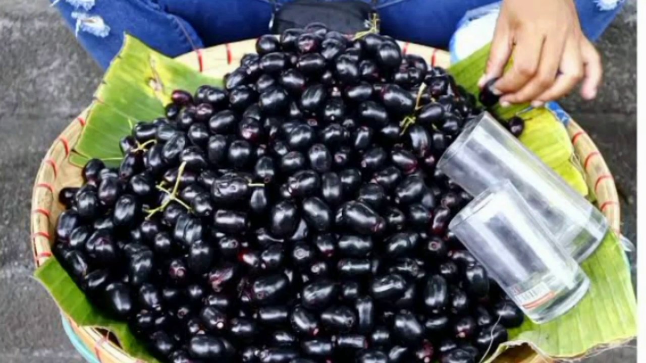 BENEFITS OF JAMUN JAVA PLUM
