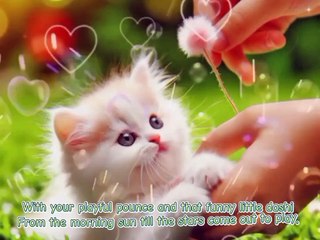 "My Kitty, My Buddy: A Fun Feline Anthem"