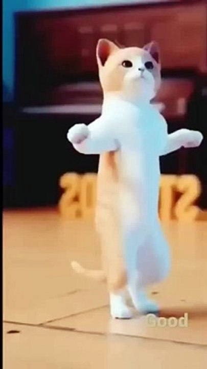 #cat #shots #viral #cats #cutecat #cutedog