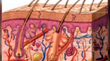 البقع الغامقة على الجلد كيف تتجنب حدوثها