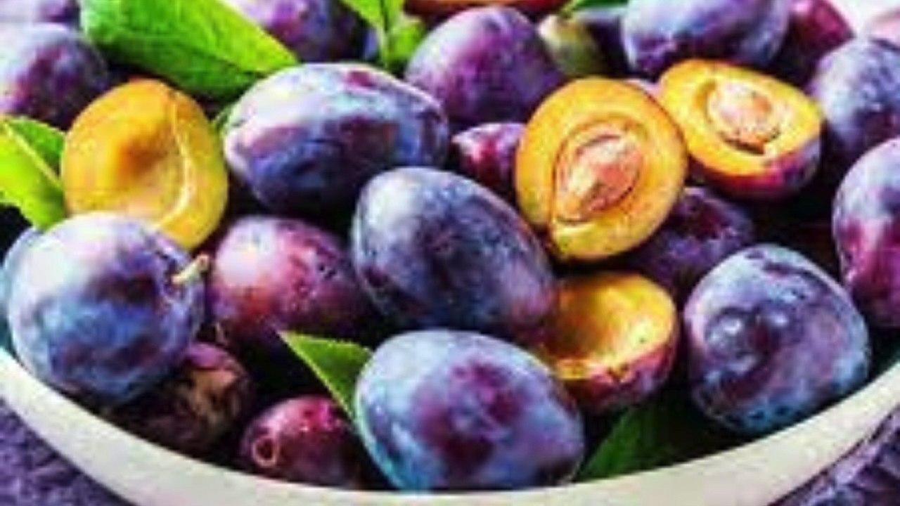 Heart Health, Blood Sugar Levels, Bone Health, Skin Health, and More