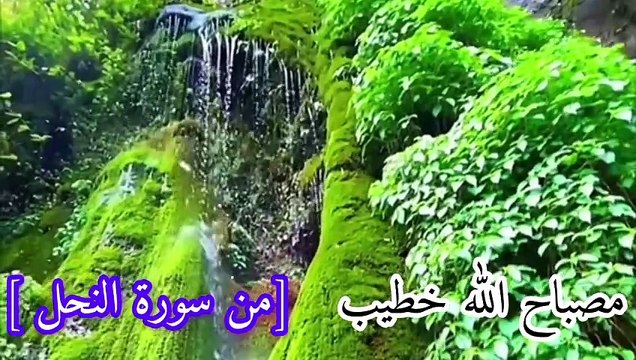 صلوا على النبي beautiful video