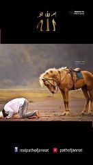 Every creation loves Allah.#shorts#shorts#islamicstatus#islam#shortvedio#trending#short#viral