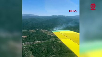 Kemalpaşa'da orman yangını