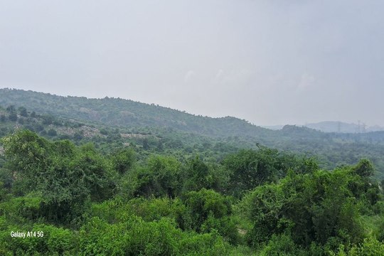 सारेकलां का पहाड़ी में आतंकवादियों ने बनाया ठिकाणा... राजस्थान पत्रिका की टीम पहुंची पहाड़ पर.... अधिक जानकारी के लिए देखें वीडियो