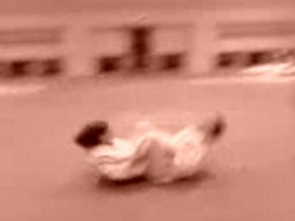 Boomerang + spinbuster