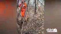 Com auxílio da cadela 'Hanna', idoso é resgatado por bombeiros na zona rural da região de Sousa
