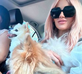 Kate Beckinsale ilmestyi vaaleanpunaisilla hiuksilla Lulu da Pomerania -koirien juhlaan