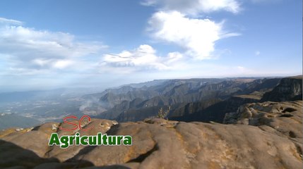 Confira a íntegra do programa SC Agricultura deste sábado (24)!