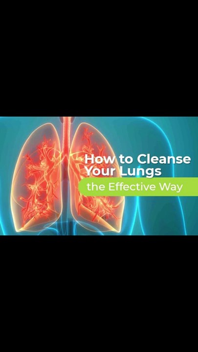 How to Clean Lungs in Home with Turmeric | Health Facts| Lungs Cleansing | Holy Herbs