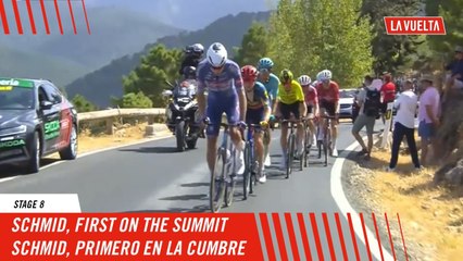 Schmid Takes the Lead on Stage 8 of La Vuelta 2024 🚴‍♂️