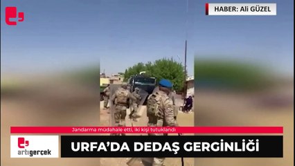 Urfa'da DEDAŞ gerginliği... Jandarma müdahale etti, iki kişi tutuklandı