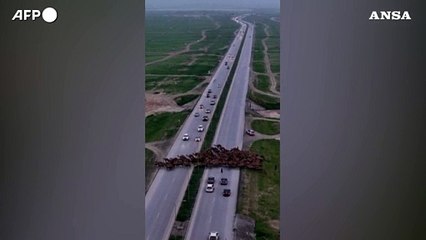 下载视频: Oman, una mandria di cammelli attraversa un'autostrada bloccando il traffico