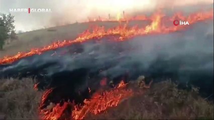 İtfaiye erleri yangından kurtardığı kaplumbağaya su verdi