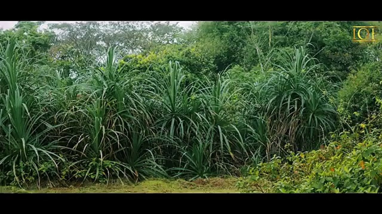 Land Shark  Horror & Thriller  Hindi Dubbed  Full Movie