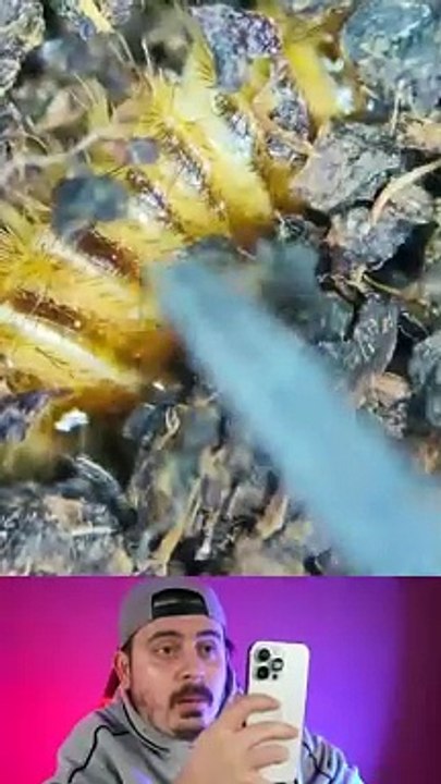 Is what's the microscope tru