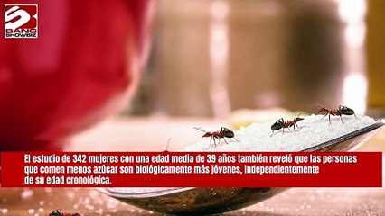 Dejar de consumir azúcar acelera el rejuvenecimiento