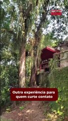 Encantos naturais e históricos da “europeia” Timbó