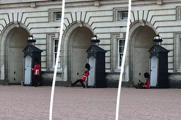 Hilarious Moment: Buckingham Palace Guard Takes a Tumble in Front of Tourists 🇬🇧