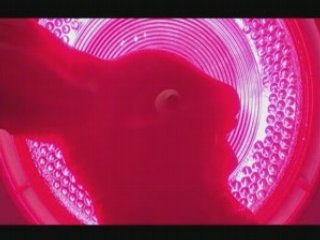 Mort d'un Lapin en Chocolat