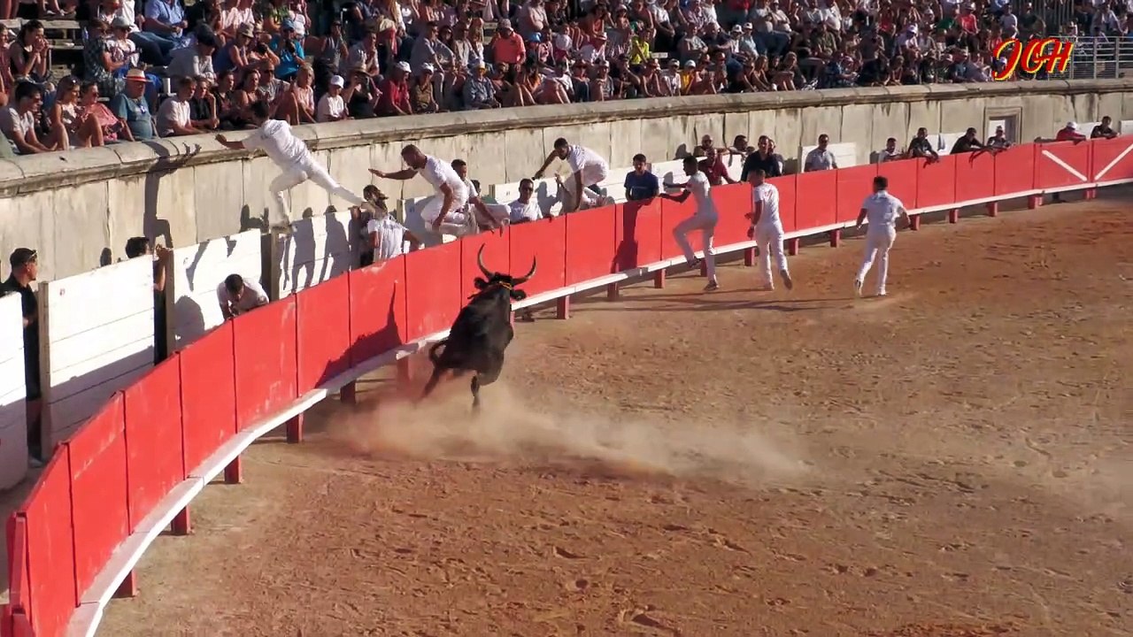 Arènes de NIMES 22 Août 2024 2ièTaureau Manade Lautier Gallion