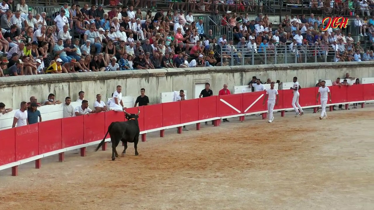 Bohémien Manade Rouquette le 22 Août 2024 à NIMES