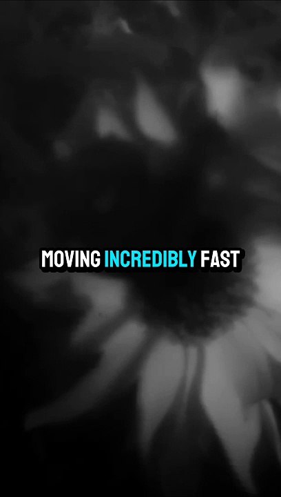 Echoes of the Past: The Haunting of an Old Hospital Home | Part 9