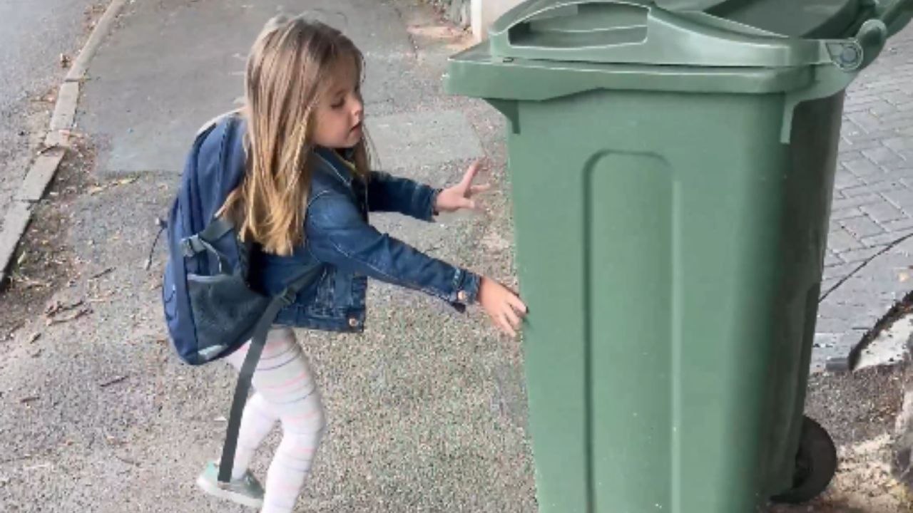 Little girl moves wheelie bin to ensure blind mom’s safety - video ...
