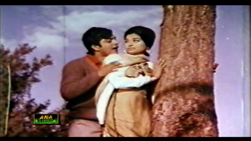 Mere Dil Mehfil Saja dene wale  Andleeb Pakistani movie song urdu filmo video song