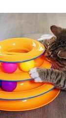 The Cat's Meow: Top 10 Toys for a Fun and Active Feline  #cattoys #catniptoys #cataccessories
