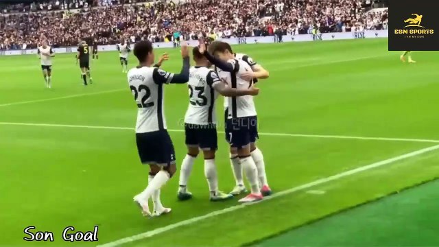 Tottenham vs Everton (4-0) HIGHLIGHTS & Goals | son heung min two Goal vs everton today