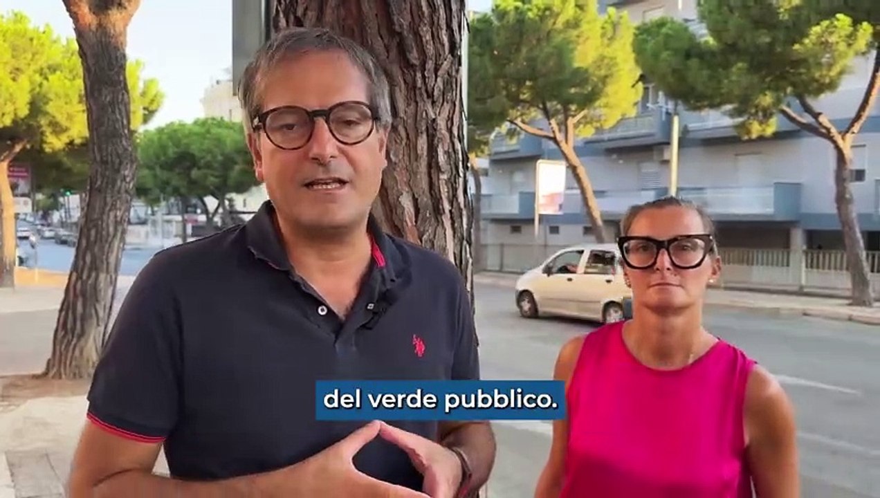 Bisceglie sostituirà gli alberi di pino a rischio con querce e jacaranda per evitare incidenti e allergie
