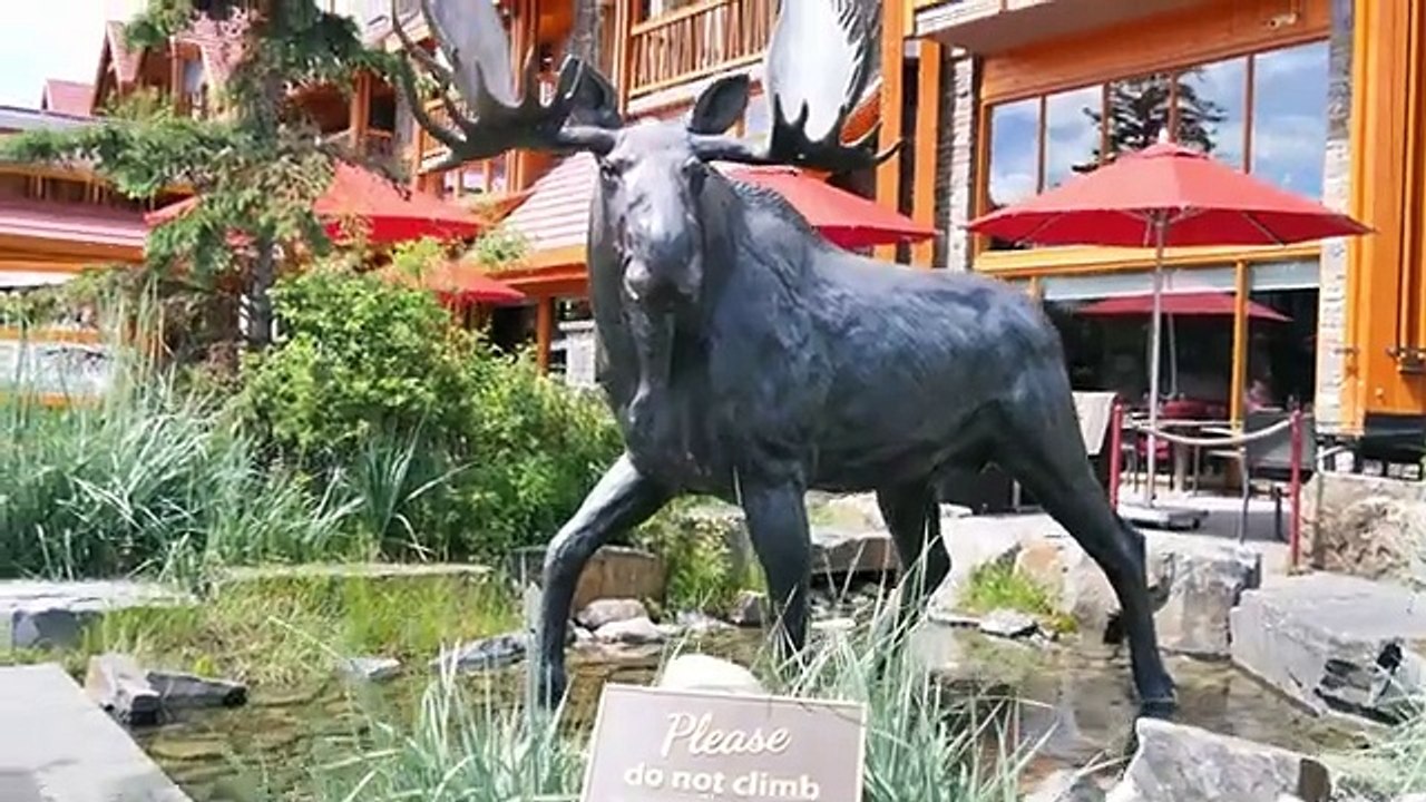 BANFF in Summer - Tourists Enjoying Last Days