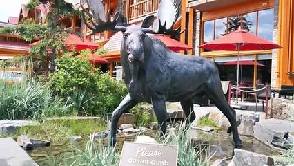 BANFF in Summer - Tourists Enjoying Last Days