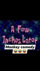 Re doswa bhut dekh kar rahe ho reply me with the world so cute