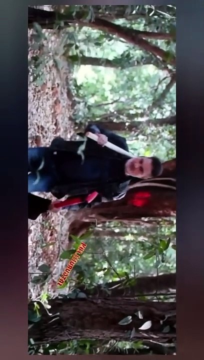 Aliya Basu ghayab hai | Ek larki ghayab ho Gai, Hindi movie _ @bollywood_High