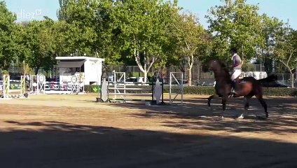 Tendido Diez | 14x79 | 07-08-2024