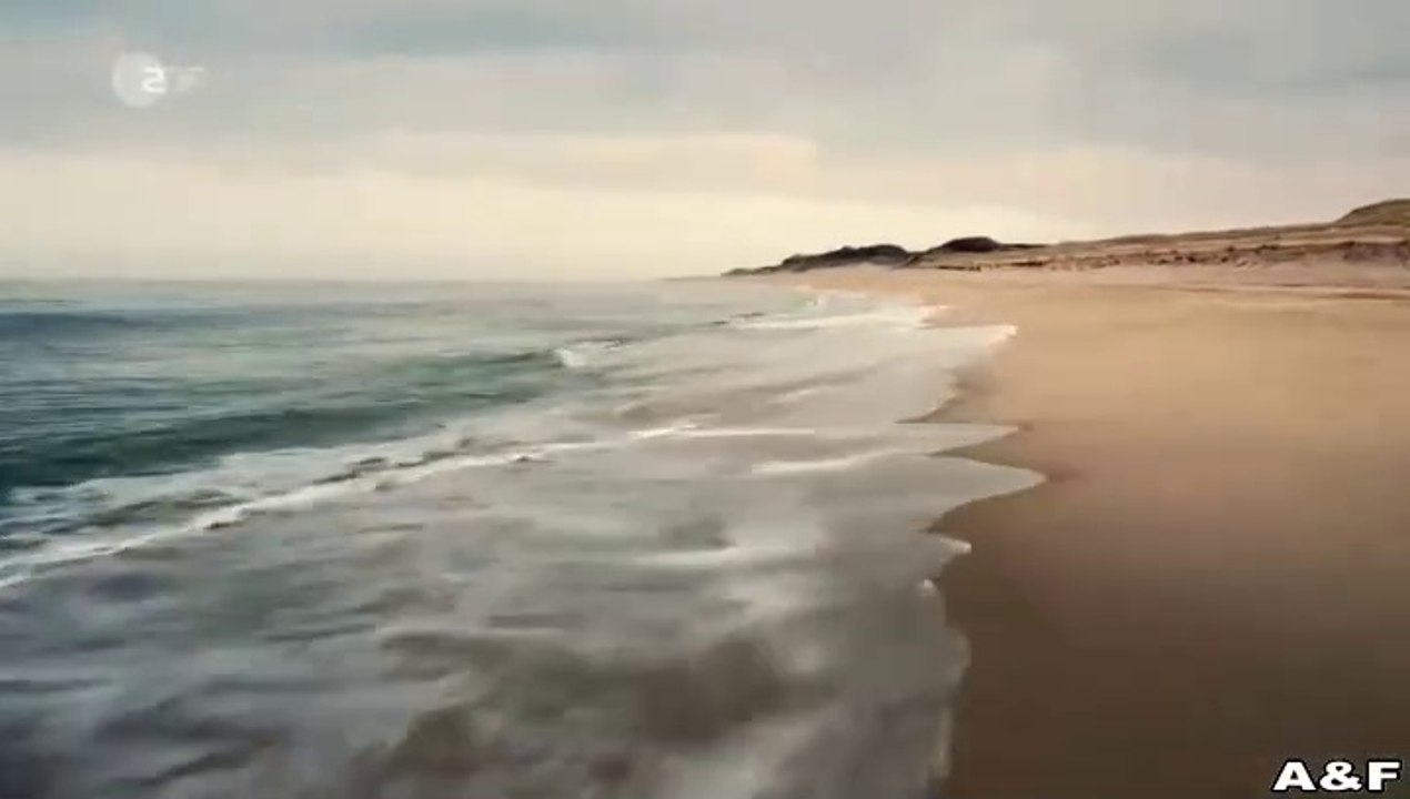 Nord Nord Mord -13- Sievers und der goldene Fisch