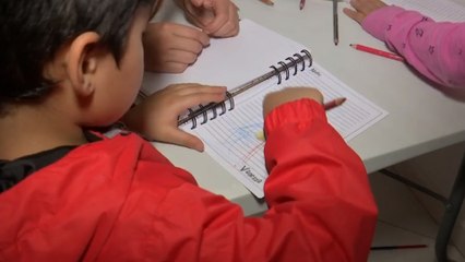 El proyecto de ley que busca inclusión en educación, salud, trabajo a personas con espectro autista