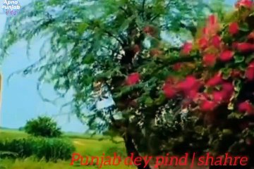 Samundri Faislabad punjab dey sheher pind de Zindagi village life in Punjab India and Pakistan bohat he khoobsurat view of village Sanjah punjab