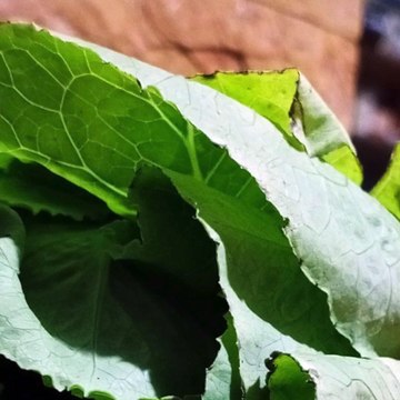 -ANDRÉS DE JESÚS VÉLEZ FRANCO- DESAFÍOS Y OPORTUNIDADES DEL 5G EN COLOMBIA (PARTE 1) (@AndresdeJesus90)