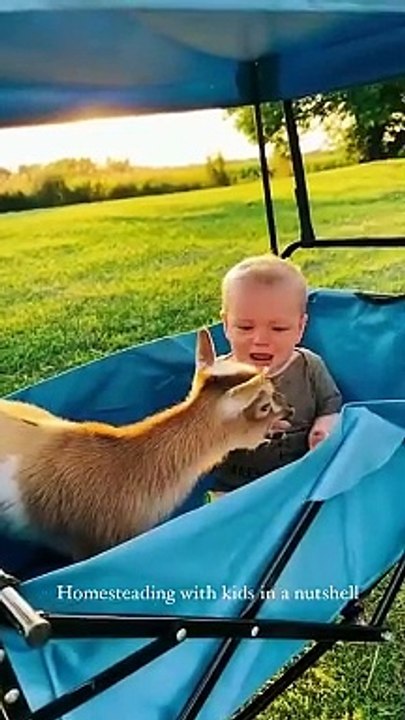 #(Cute baby )#(Funny video )