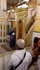 Queue in Raudhah-Nabawi