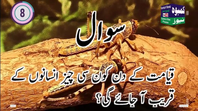 Islamic Common Dilchasp Islami Maloomat Islamic Questions Answers Islamic quiz Part 1 Kamboh News