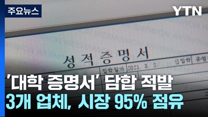 취업·진학에 필수 '대학 증명서' 7년간 담합 적발 / YTN